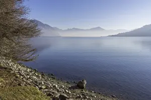 Deserted Lakeside Scene Prints: Panoramic view of a tree by the lake