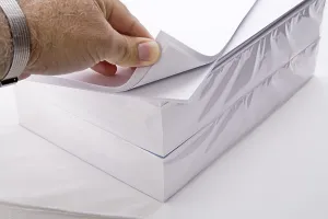 White Sheet Of Paper Prints: Paper