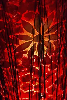 Ornate Decoration Prints: Paper lantern with pattern in detail