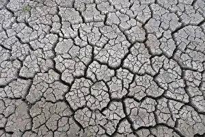 Uninhabited Areas Of Germany Prints: Parched earth, Germany
