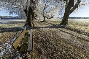 Blue Sky Exterior View Prints: Park bench on a snow-covered path
