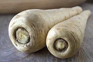 Vegetable Stock Photos Prints: Parsnips