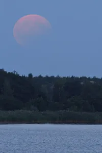 Lunar Eclipse Germany Prints: Partial lunar eclipse, Middle Elbe Biosphere Reserve