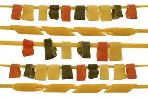 Diverse Pasta Dishes Prints: Pasta, multiple varieties