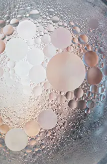 Images Dated 25th December 2024: Pastel-colored Bubble Print