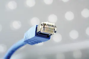 Data Transmission Equipment Prints: Patch cable