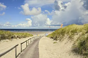 Deserted German Coastline Prints: Path to the bathing beach at Schoolpad
