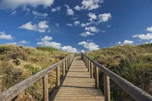 Beach Holiday Prints: Path through the dune landscape