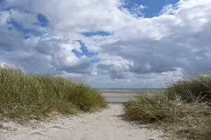 German Coastline Photography Prints: Path through dunes to the beach
