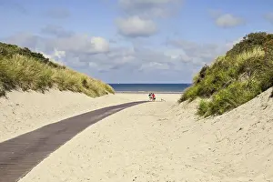 North Sea Shoreline Prints: Path through the dunes to the beach