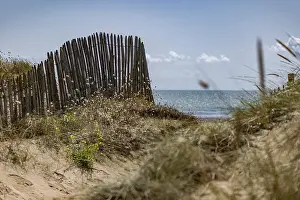 Atlantic Ocean Shoreline Prints: Path through the dunes to the beach and the sea