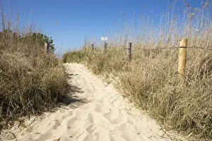 Uninhabited Sand Dunes Prints: Path through the dunes, Cuxhaven