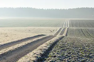 Agricultural Land In Winter Time Prints: Path through fields, Baden-Wurttemberg