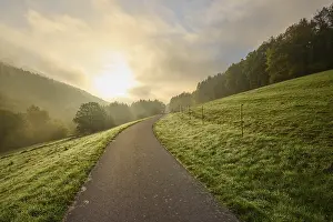 Cloudy Sky Over Bavaria Prints: Path, forest, valley, meadow, clouds