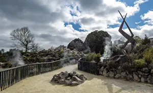 Geothermal Energy Source NZ Prints: Path in thermal area, hot spring