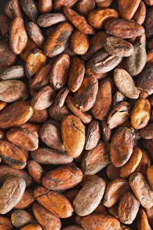 Appetizing Chocolate Dish Prints: Pattern of the cocoa beans background, top view