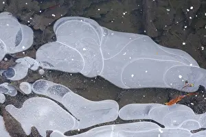 German Frozen Landscape Prints: Pattern on frozen water surface
