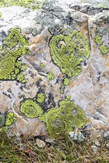 European Wilderness Photography Prints: Patterns of braiding on rocks inspire the imagination
