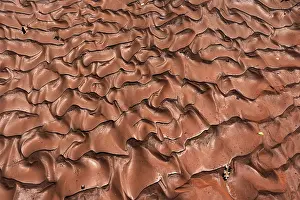 Utah Desert Landscape Photography Prints: Patterns in sand after heavy thunderstorm