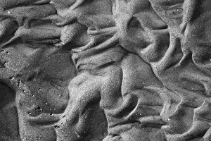 Northern Europe Coastal Scenery Prints: Patterns in the sand in the mudflats at low tide