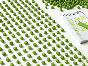 Quality Check Prints: Pea counting
