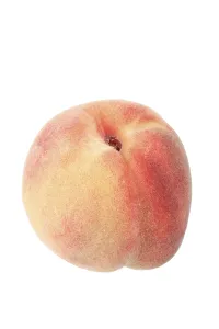 Cut Out Food Images Prints: Peach