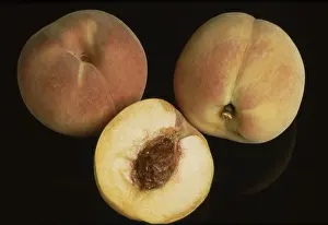 Fresh Peaches Prints: Peaches
