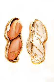 Food Still Lifes Prints: Peanut