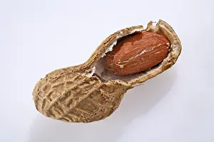 Peanut Nutrition Prints: Peanut