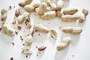 Plant Life Outdoors Prints: Peanuts