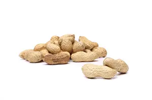 Legume Plant Prints: Two peanuts in closeup on the peanut background