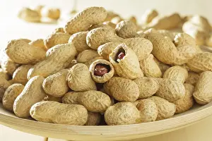 Studio Shot Of Peanuts Prints: Peanuts in shells