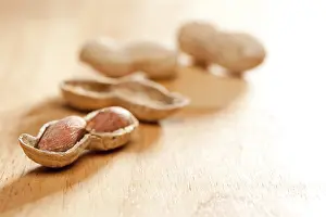 Wood Background Images Prints: Peanuts on wood background with dramatic lighting