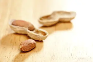 Legume Plant Photography Prints: Peanuts on wood background with dramatic lighting