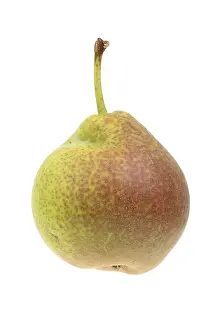 Studio Background Food Image Prints: Pear