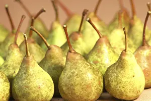 Fruit Arrangement Prints: Pears