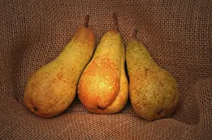 Full Length Food Photography Prints: Three pears on jute sack