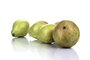 Grocery Store Produce Prints: Pears (Pyrus)