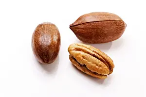 Studio Background Cuisine Prints: Pecans
