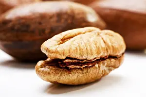 Studio Shot Of Pecans Prints: Pecans