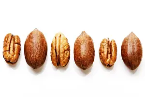Nutrition Facts Pecans Prints: Pecans with and without shells