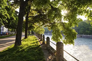 Summer In Upper Bavaria Prints: Pedestrian path with maple trees on the Isar