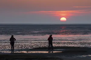 North Sea Coastline Scene Prints: People looking at the sunset, mudflat