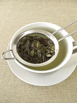 Medicinal Plant Pictures Prints: Peppermint tea in a tea strainer