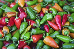 Colorful Peppers Prints: Peppers