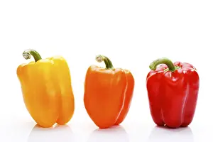 Colorful Vegetables Prints: Peppers
