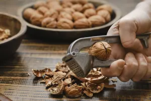 Country Style Cuisine Prints: A person is cracking open a walnut using a metal nutcracker