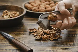 Ecological Awareness Prints: A person uses a nutcracker to open a walnut in a kitchen