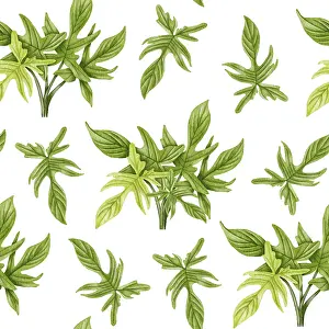 Decorative Indoor Leafy Plants Prints: Philodendron seamless pattern