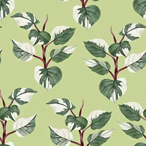 Prints of Philodendron seamless pattern. Hand drawn Houseplant illustration Potted Plant Prints: Philodendron Print: Hand-Drawn Houseplant Seamless Pattern